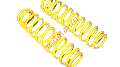 Пружина амортизатора Пт-01.00.001-001/2 (2 шт.)